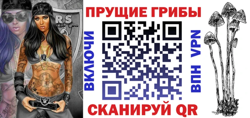 Галлюциногенные грибы Cubensis  Куровское 