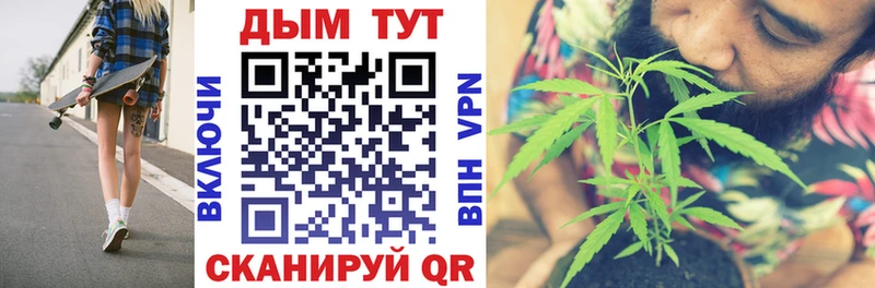 где найти наркотики  Куровское  Бошки Шишки тримм 